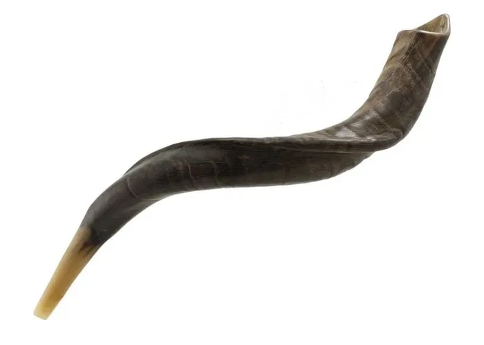 What is a Shofar and What Its' Origins?