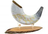 King David's Lyre