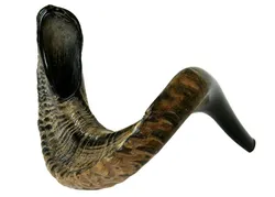 Ram's Horn Shofar - Natural