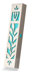 stainless steel and acrylic mezuzah case