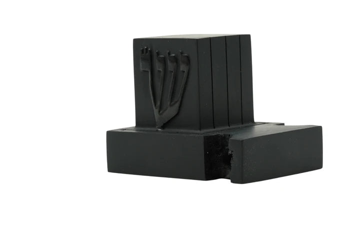 Premium Tefillin Set- Gasos- Sefaradic