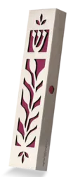 stainless steel and acrylic mezuzah case