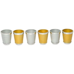 Aluminum Liquer Set with 6 Silver & Gold Cups