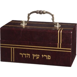 Faux Leather Etrog Box with Handle & Lock - Brown