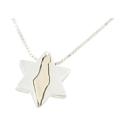Sterling Silver Star of David Necklace & 9K Gold Israel Map