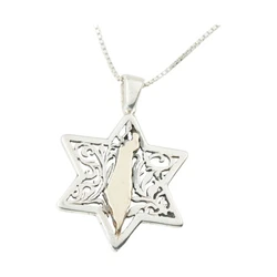 Sterling Silver Star of David Necklace & 9K Gold Israel Map
