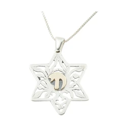 Sterling Silver Star of David Necklace & 9K Gold Chai