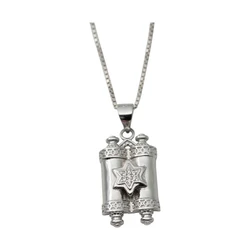 Sterling Silver Necklace- Torah with a Star of David Center