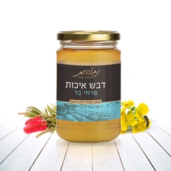 Wildflower Honey- Made in Israel