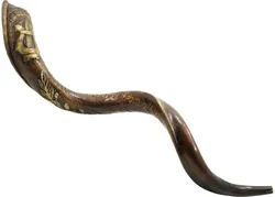 Engraved Yemenite Kudu Shofar - David's Lyre - Kinnor David