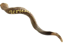 Engraved Yemenite Kudu Shofar - Jerusalem