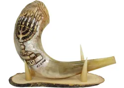 Engraved Ram Shofar - Menorah