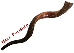Yemenite Kudu Shofar - X Large - Half Polished 36-44 in