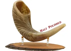 Ram's Horn Shofar - Half Polished